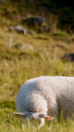 Naturalmat creative