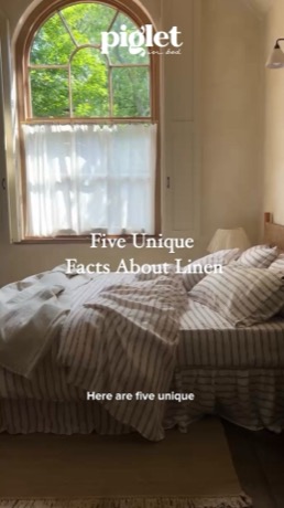 Piglet in Bed creative