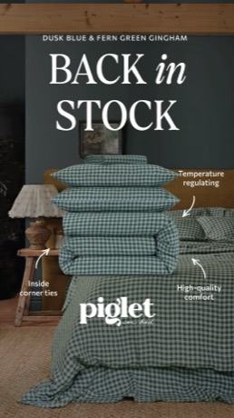 Piglet in Bed creative